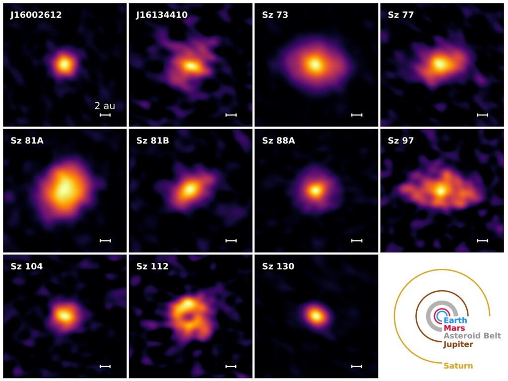 ALMA finds rings and gaps in compact planet-forming disks