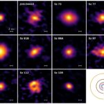 ALMA finds rings and gaps in compact planet-forming disks