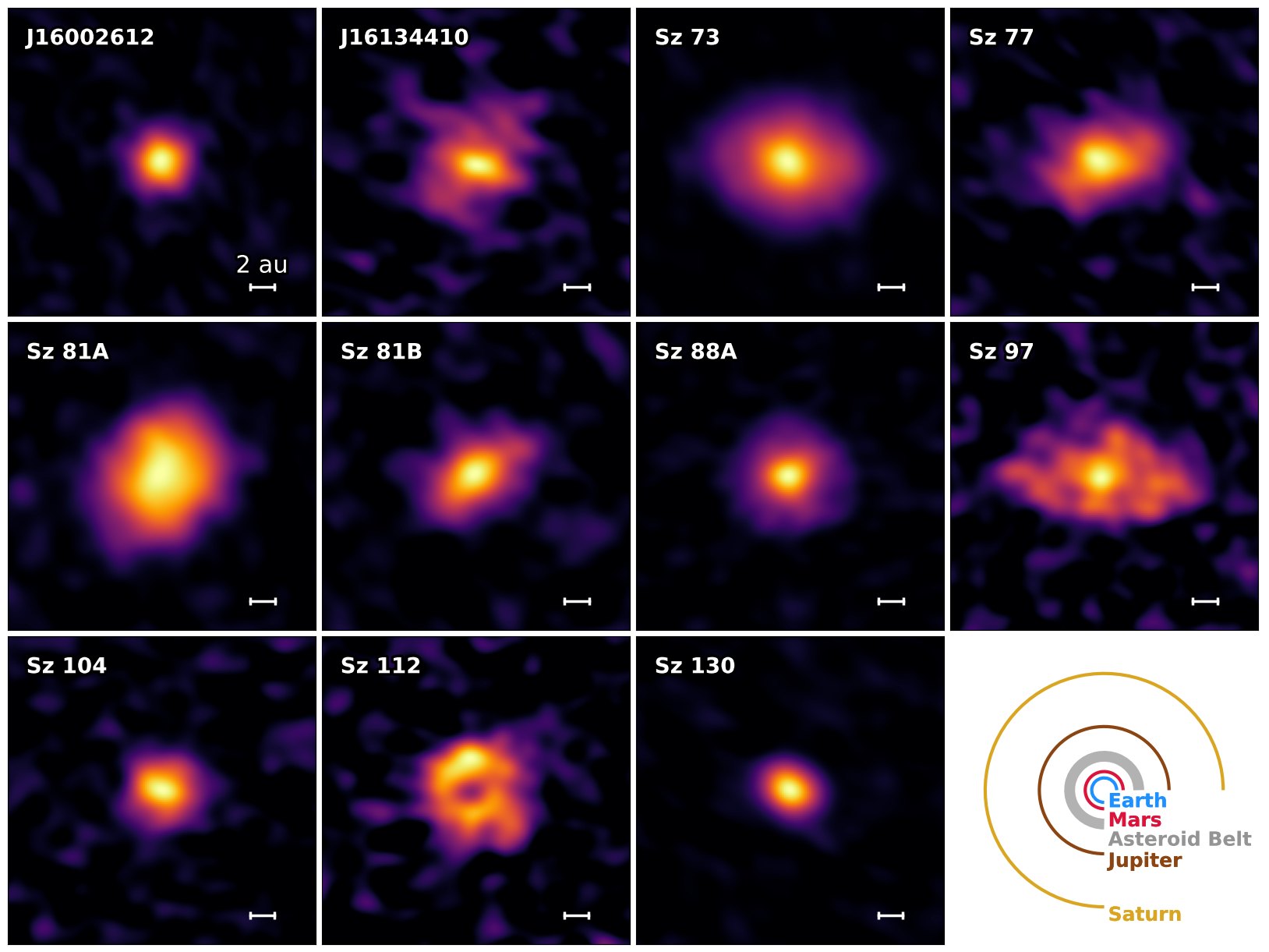 ALMA finds rings and gaps in compact planet-forming disks