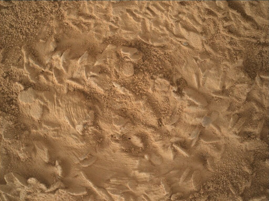Curiosity lines up its next drill hole on a rock packed with crystal-shaped discs