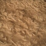 Curiosity lines up its next drill hole on a rock packed with crystal-shaped discs