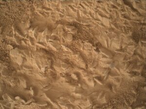 Curiosity lines up its next drill hole on a rock packed with crystal-shaped discs