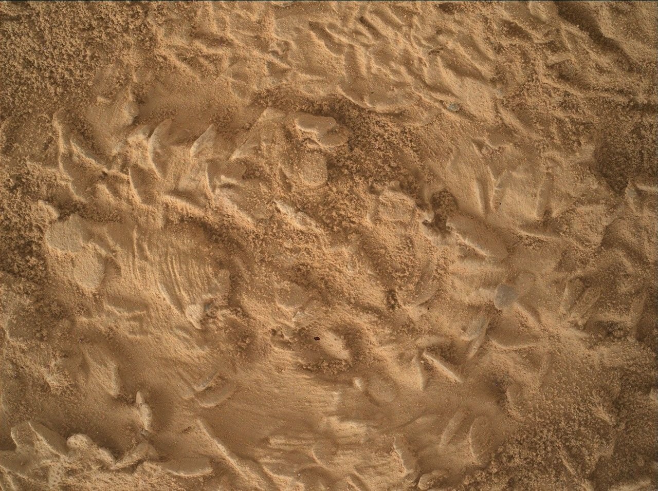 Curiosity lines up its next drill hole on a rock packed with crystal-shaped discs