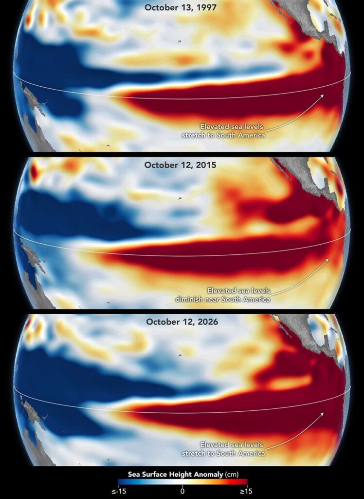 Three stacked maps of the Pacific compare sea surface height in October 1997, October 2015 and October 2026; the 2015 high water stays farther from South America.