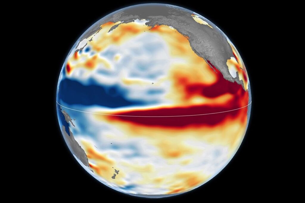 Map of Pacific sea surface height anomalies on October 12, 2015, showing the elevated sea levels of the 2015-16 El Niño.