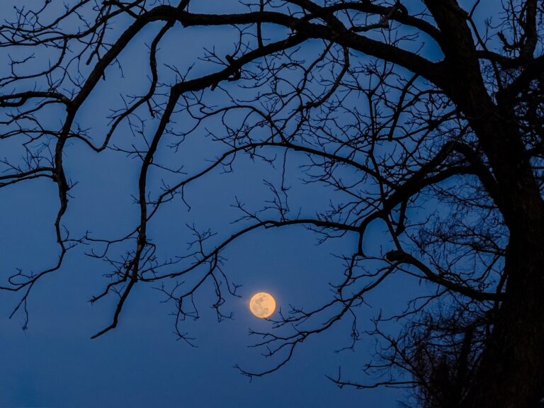 Skywatching