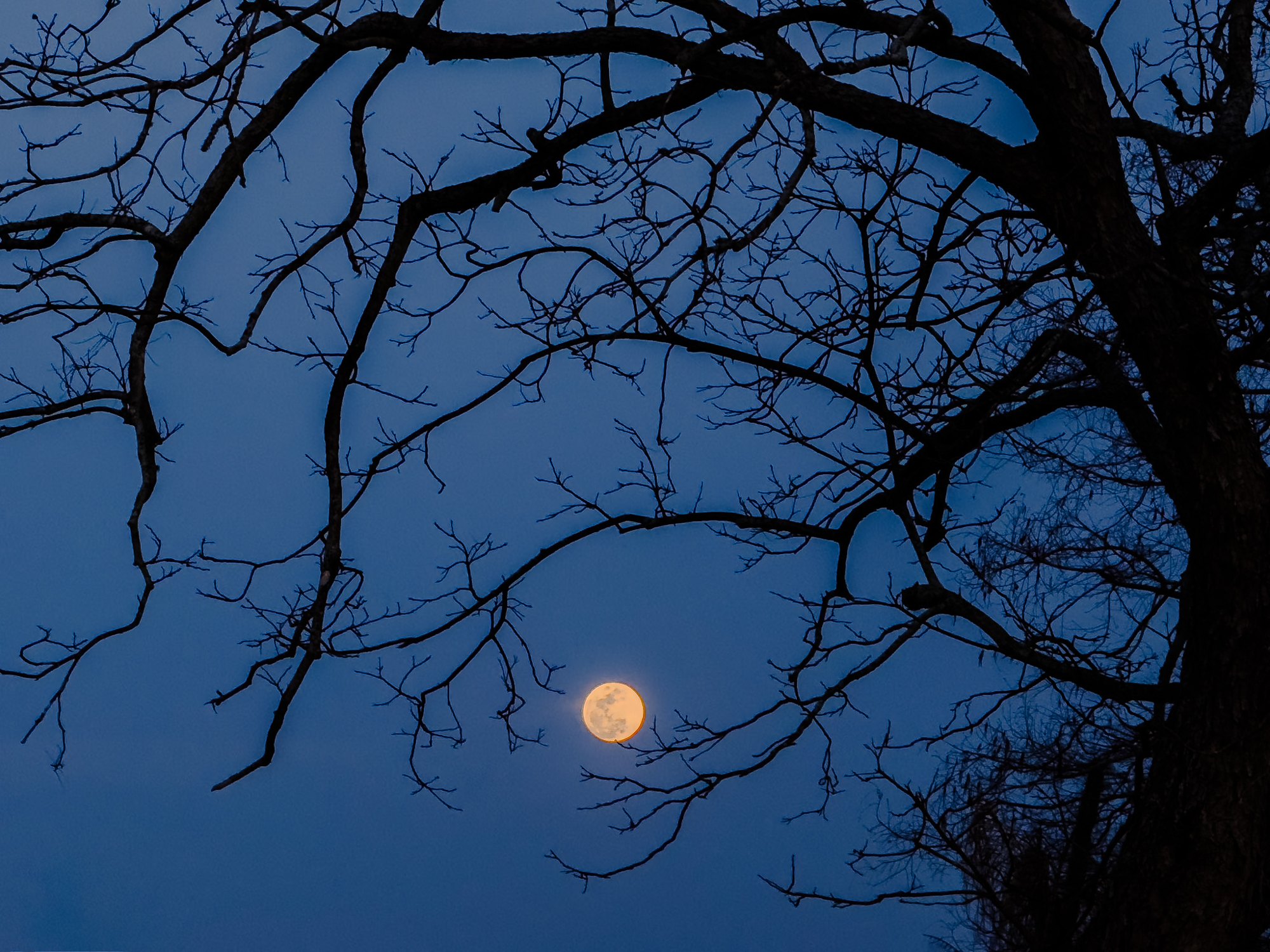 Hunter’s Moon 2026: When October’s full Moon rises on October 26 and how to see it