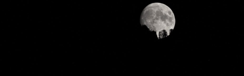 A full Moon rising over trees at dusk