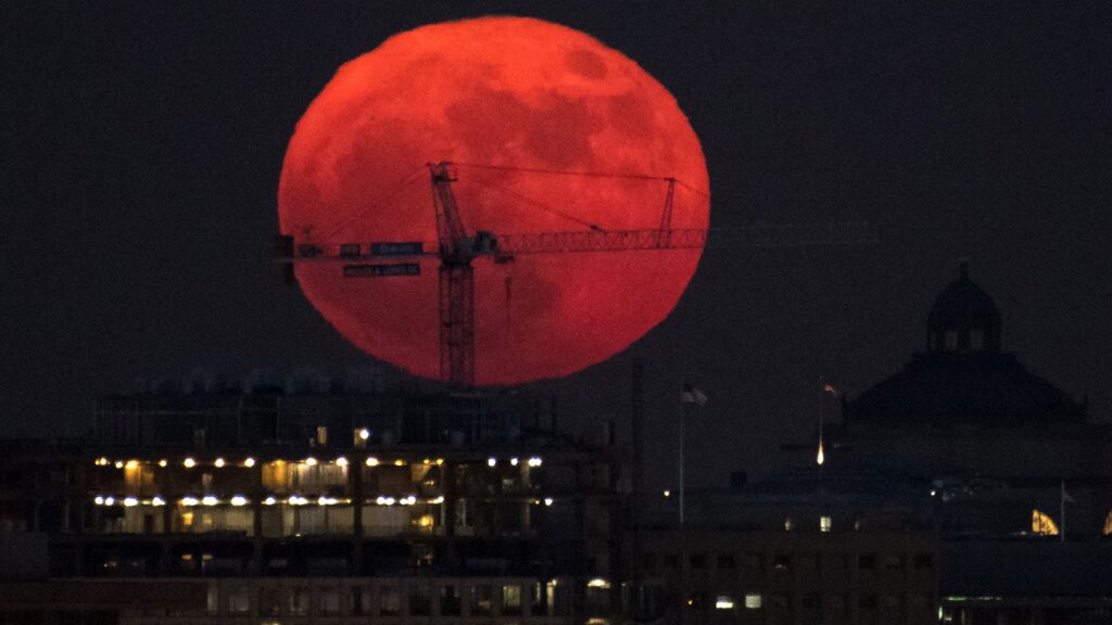 A large orange Moon rising behind a crane on the Washington, D.C. skyline