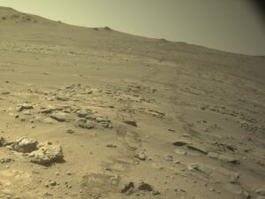 Mars rovers today: where Perseverance and Curiosity are and their latest pictures