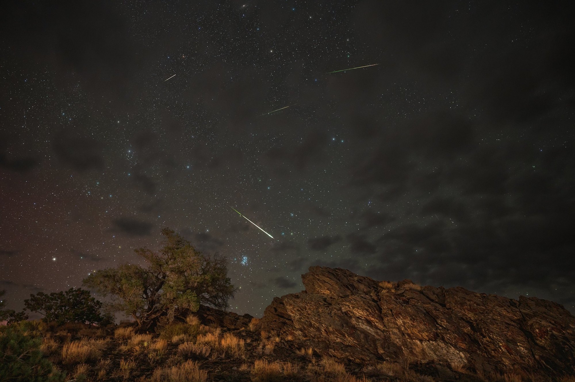 Meteor shower tonight: every major peak from October 2026 to August 2027