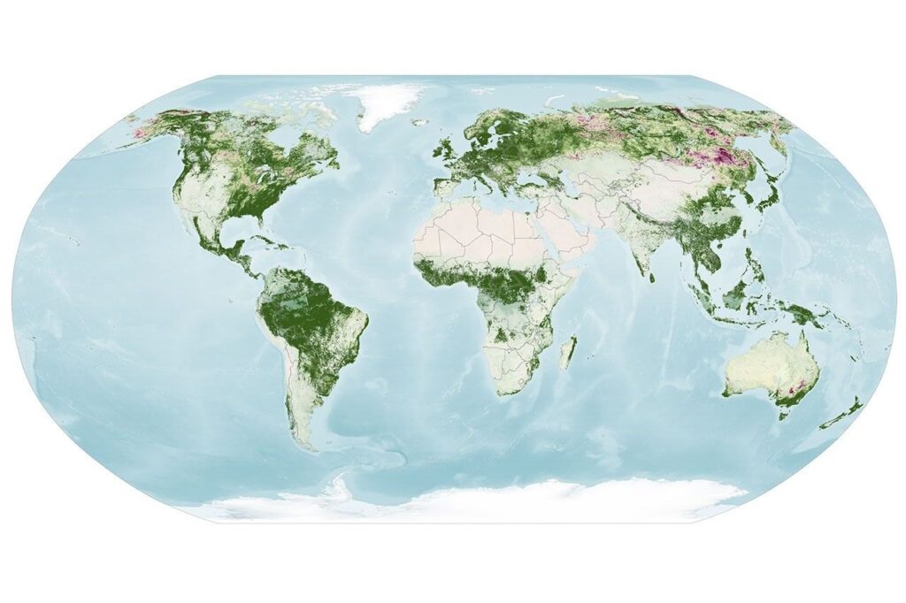 Global map of vegetation redness from September 29 to October 4, 2026, with the strongest red in Alaska, northern Canada, Mongolia and Russia
