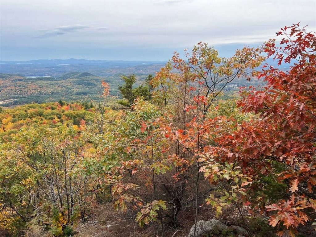 Ground photo of forested hills in New England dotted with yellow, orange and red foliage, submitted to the GLOBE campaign