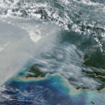 Fires have released a record 32 megatons of carbon in Papua New Guinea