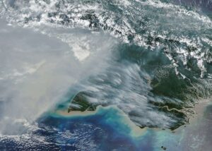 Fires have released a record 32 megatons of carbon in Papua New Guinea