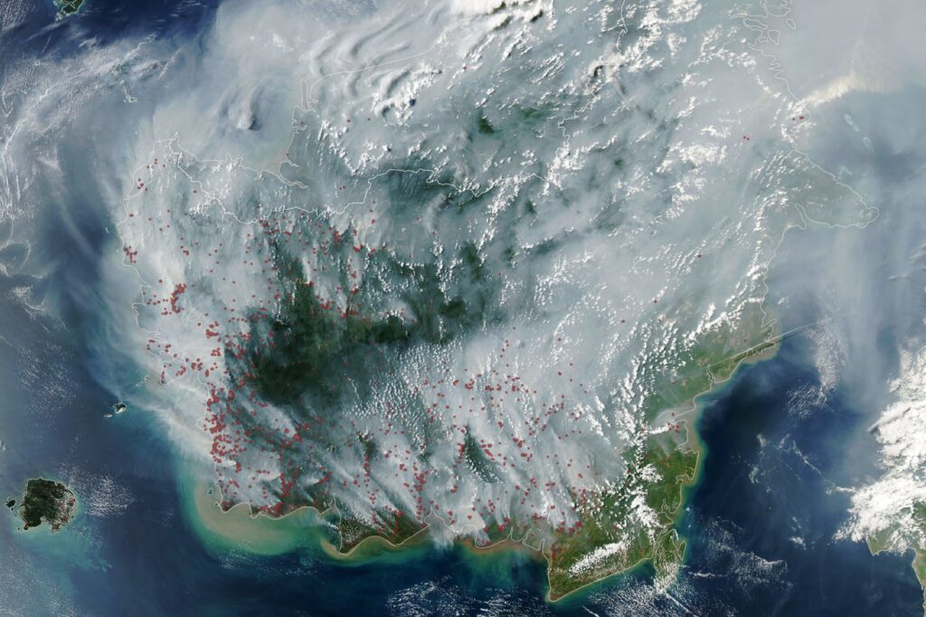 Thick gray plumes of smoke stream from large numbers of fires scattered across the island of Borneo.