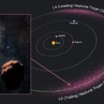 Rubin doubles the known trailing Neptune Trojans, from two to four