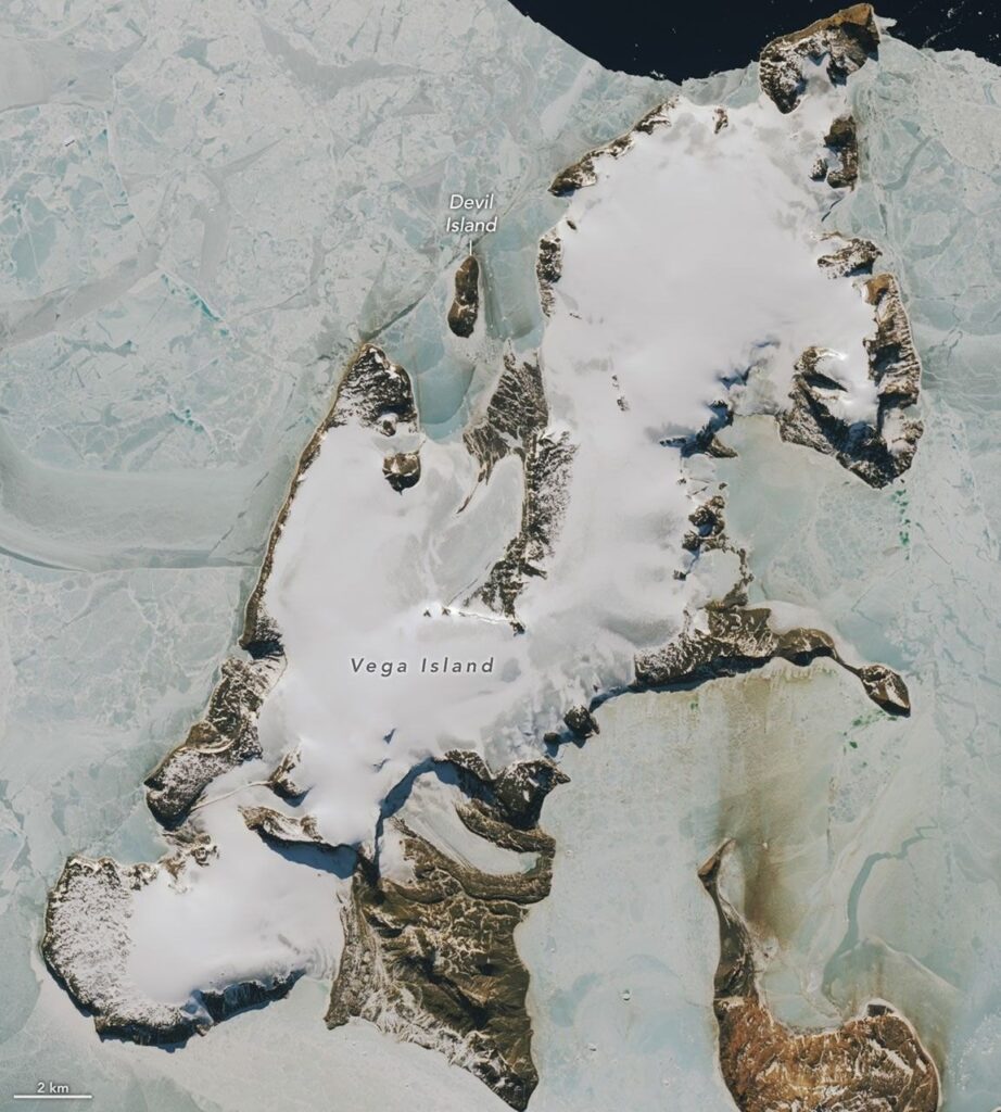 Part of an ice-covered Antarctic island has the appearance of a grinning skull in profile, with bare gray ice where seasonal snow is gone.