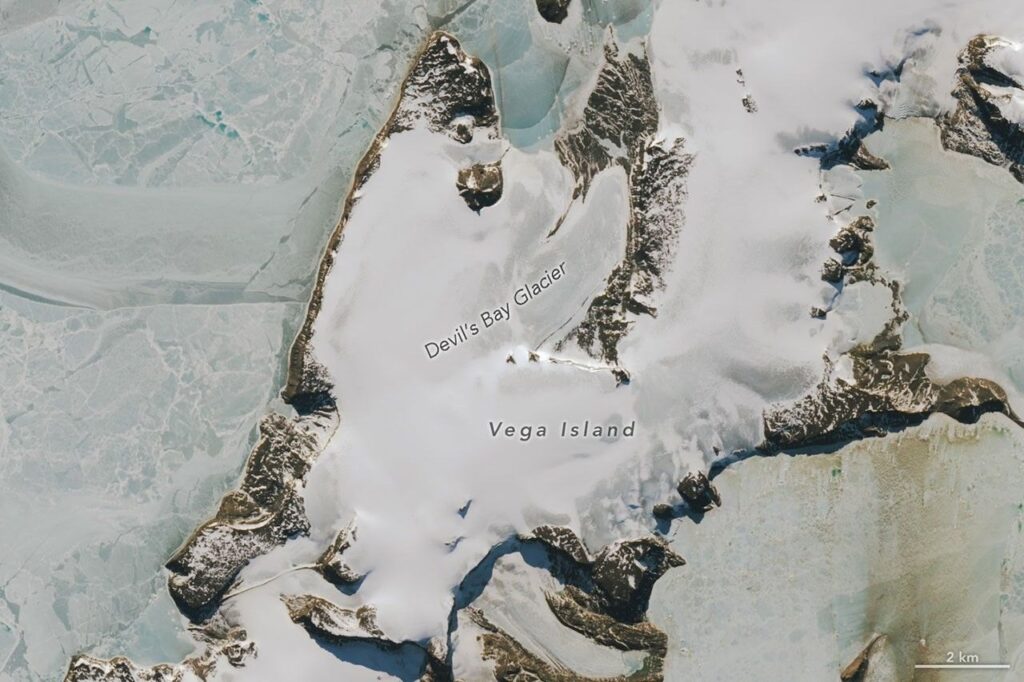 Close view of Vega Island, Antarctica, on October 10, 2026, with snow gone from large areas and darker ice exposed.