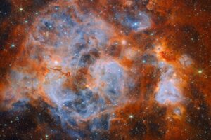 Webb finds thousands of newborn stars wrapped in smoky clouds of the Large Magellanic Cloud